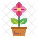 پیش‌نمایش فایل flower-plant-7035883 از پک Eco Bio