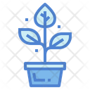 پیش‌نمایش فایل plant-pot-7036161 از پک روستا