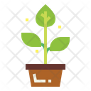 پیش‌نمایش فایل plant-pot-7036125 از پک روستا