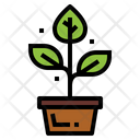 پیش‌نمایش فایل plant-pot-7036053 از پک روستا