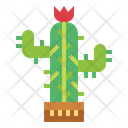 پیش‌نمایش فایل cactus-plant-7036427 از پک کشاورز