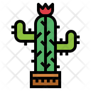 پیش‌نمایش فایل cactus-plant-7036355 از پک کشاورز