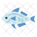پیش‌نمایش فایل fish-7037941 از پک صیاد