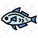 پیش‌نمایش فایل fish-7037869 از پک صیاد