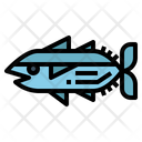 پیش‌نمایش فایل tuna-fish-7037896 از پک صیاد