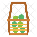 پیش‌نمایش فایل basket-7043731 از پک تنیس
