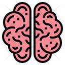 پیش‌نمایش فایل brain-7044114 از پک اندام انسان