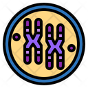پیش‌نمایش فایل chromosome-7044119 از پک اندام انسان