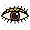 پیش‌نمایش فایل eye-7044122 از پک اندام انسان