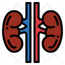 پیش‌نمایش فایل kidneys-7044127 از پک اندام انسان