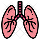 پیش‌نمایش فایل lung-7044131 از پک اندام انسان