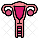 پیش‌نمایش فایل uterus-7044146 از پک اندام انسان