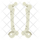 پیش‌نمایش فایل bone-7044185 از پک اندام انسان