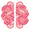 پیش‌نمایش فایل brain-7044186 از پک اندام انسان