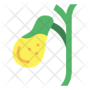 پیش‌نمایش فایل gallbladder-7044195 از پک اندام انسان