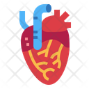 پیش‌نمایش فایل heart-7044196 از پک اندام انسان