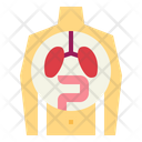 پیش‌نمایش فایل human-organ-7044197 از پک اندام انسان