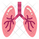 پیش‌نمایش فایل lung-7044203 از پک اندام انسان