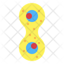 پیش‌نمایش فایل mitosis-7044205 از پک اندام انسان