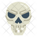 پیش‌نمایش فایل skull-7044213 از پک اندام انسان