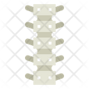 پیش‌نمایش فایل spinal-column-7044214 از پک اندام انسان