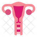 پیش‌نمایش فایل uterus-7044218 از پک اندام انسان