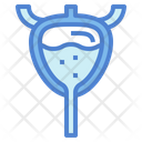 پیش‌نمایش فایل bladder-7044219 از پک اندام انسان
