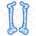 پیش‌نمایش فایل bone-7044221 از پک اندام انسان