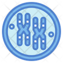 پیش‌نمایش فایل chromosome-7044227 از پک اندام انسان
