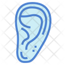 پیش‌نمایش فایل ear-7044228 از پک اندام انسان