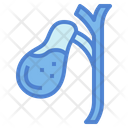 پیش‌نمایش فایل gallbladder-7044231 از پک اندام انسان