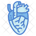 پیش‌نمایش فایل heart-7044232 از پک اندام انسان