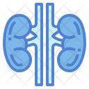 پیش‌نمایش فایل kidneys-7044235 از پک اندام انسان