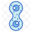 پیش‌نمایش فایل mitosis-7044241 از پک اندام انسان