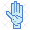 پیش‌نمایش فایل palm-7044245 از پک اندام انسان