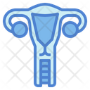 پیش‌نمایش فایل uterus-7044254 از پک اندام انسان