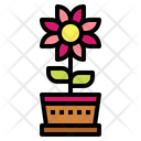 پیش‌نمایش فایل flower-7054180 از پک صلح