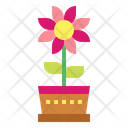 پیش‌نمایش فایل flower-7054252 از پک صلح