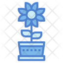 پیش‌نمایش فایل flower-7054288 از پک صلح