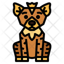 پیش‌نمایش فایل hyena-7055935 از پک زندگی وحشی