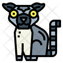 پیش‌نمایش فایل lemur-7055938 از پک زندگی وحشی