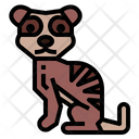 پیش‌نمایش فایل meerkat-7055940 از پک زندگی وحشی
