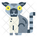 پیش‌نمایش فایل lemur-7056010 از پک زندگی وحشی