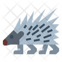 پیش‌نمایش فایل porcupine-7056018 از پک زندگی وحشی