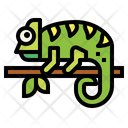 پیش‌نمایش فایل chameleon-7070219 از پک حیوانات خانگی