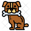 پیش‌نمایش فایل dog-holds-7070223 از پک حیوانات خانگی