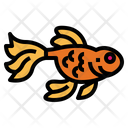 پیش‌نمایش فایل goldfish-7070230 از پک حیوانات خانگی