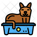 پیش‌نمایش فایل litter-box-7070235 از پک حیوانات خانگی