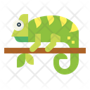 پیش‌نمایش فایل chameleon-7070291 از پک حیوانات خانگی
