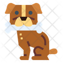 پیش‌نمایش فایل dog-holds-7070295 از پک حیوانات خانگی
